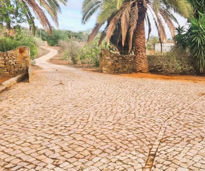 Moradia T5 para Venda em Guia Foto 4