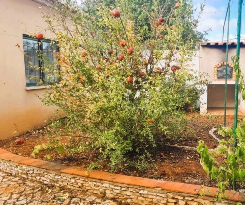 Moradia T5 para Venda em Guia Foto 6