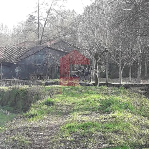 Moradia T0 para Venda em Sabariz Foto 11