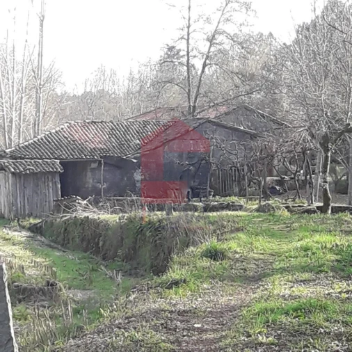 Moradia T0 para Venda em Sabariz Foto 9