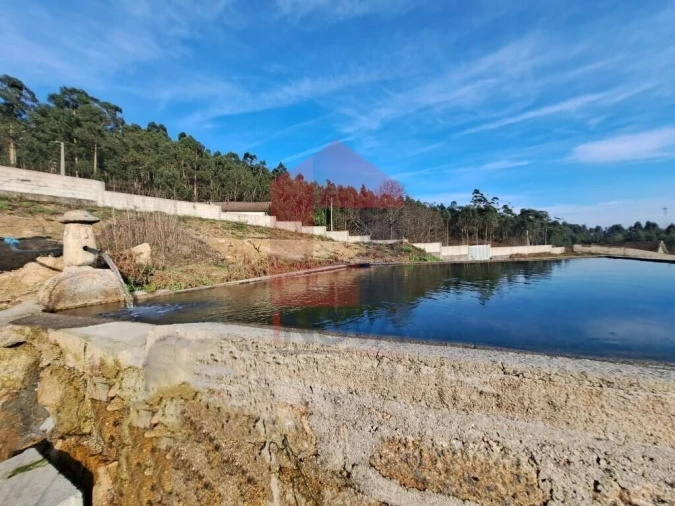 Moradia T4 para Venda em Dossãos Foto 22