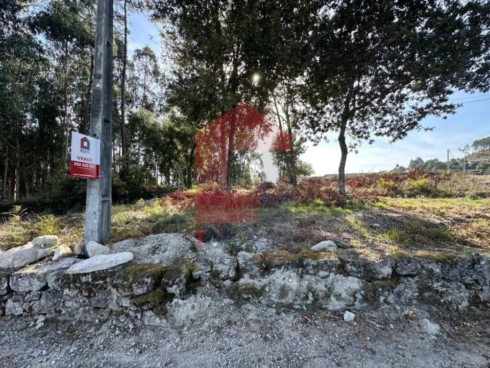 Terreno para Venda em Ponte Foto 14