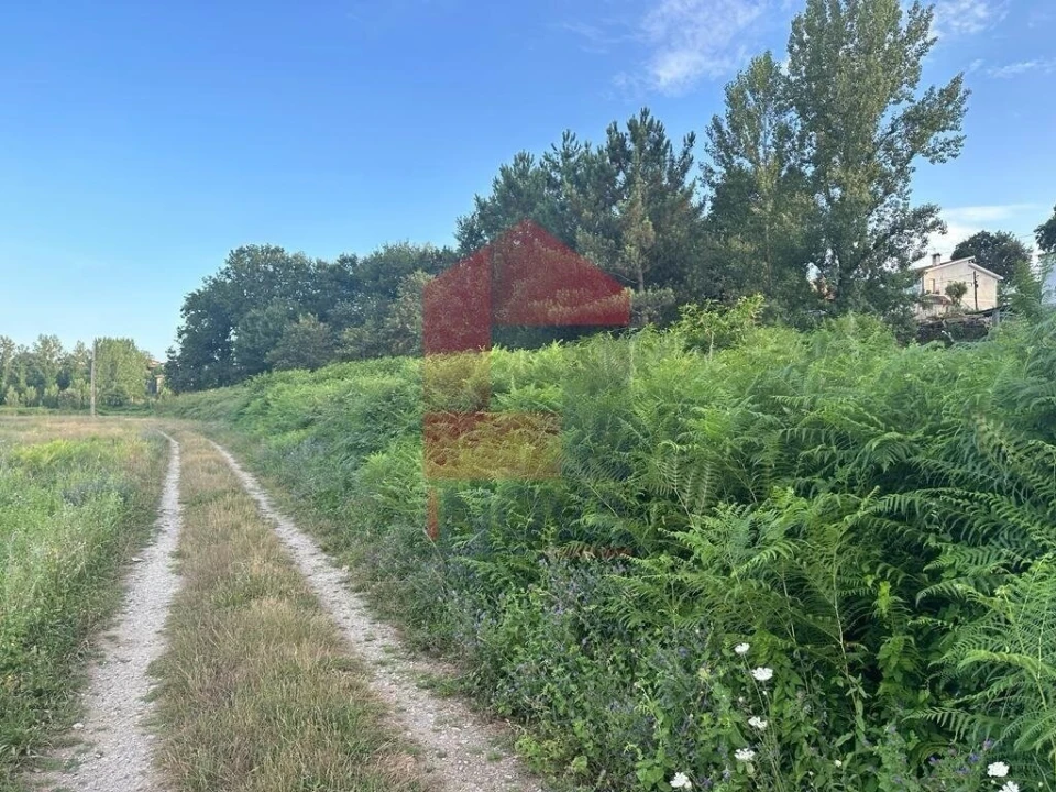 Terreno para Venda em Loureira Foto 7