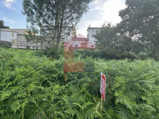 Terreno para Venda em Loureira Foto 3