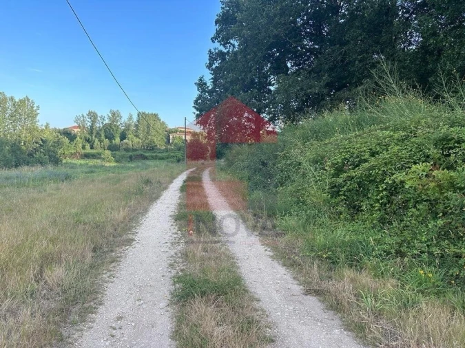 Terreno para Venda em Loureira Foto 8