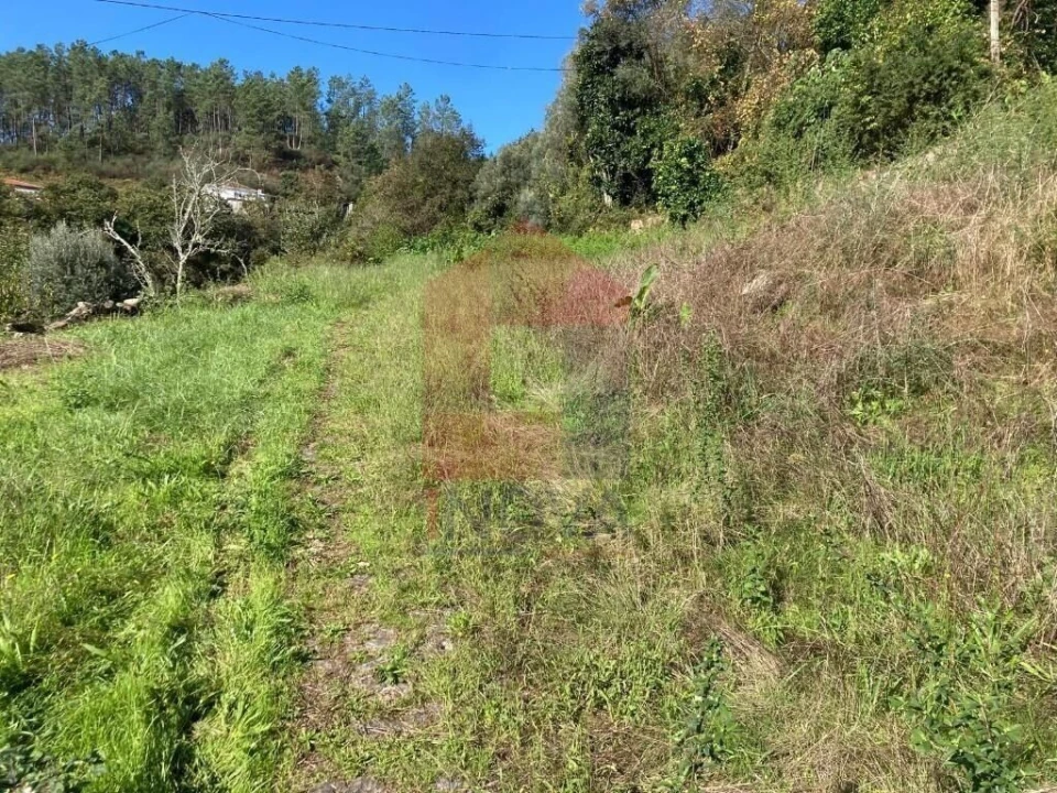Terreno para Venda em Ponte Foto 2