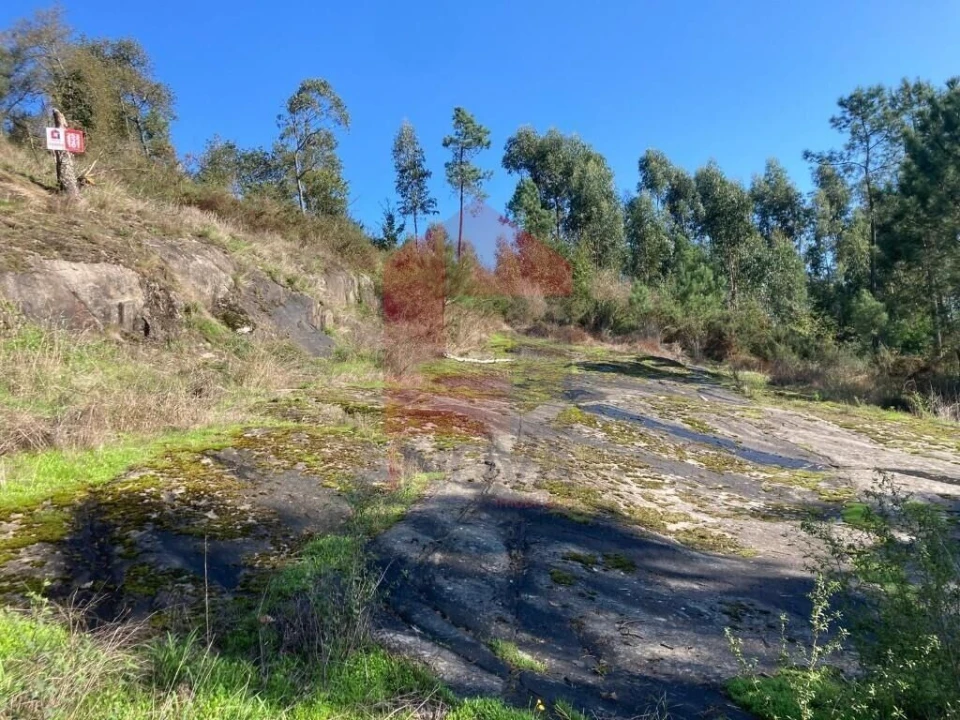 Terreno para Venda em Ponte Foto 1