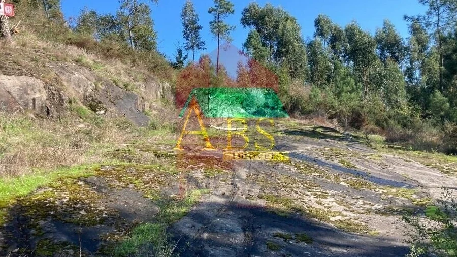 Terreno para Venda em Ponte
