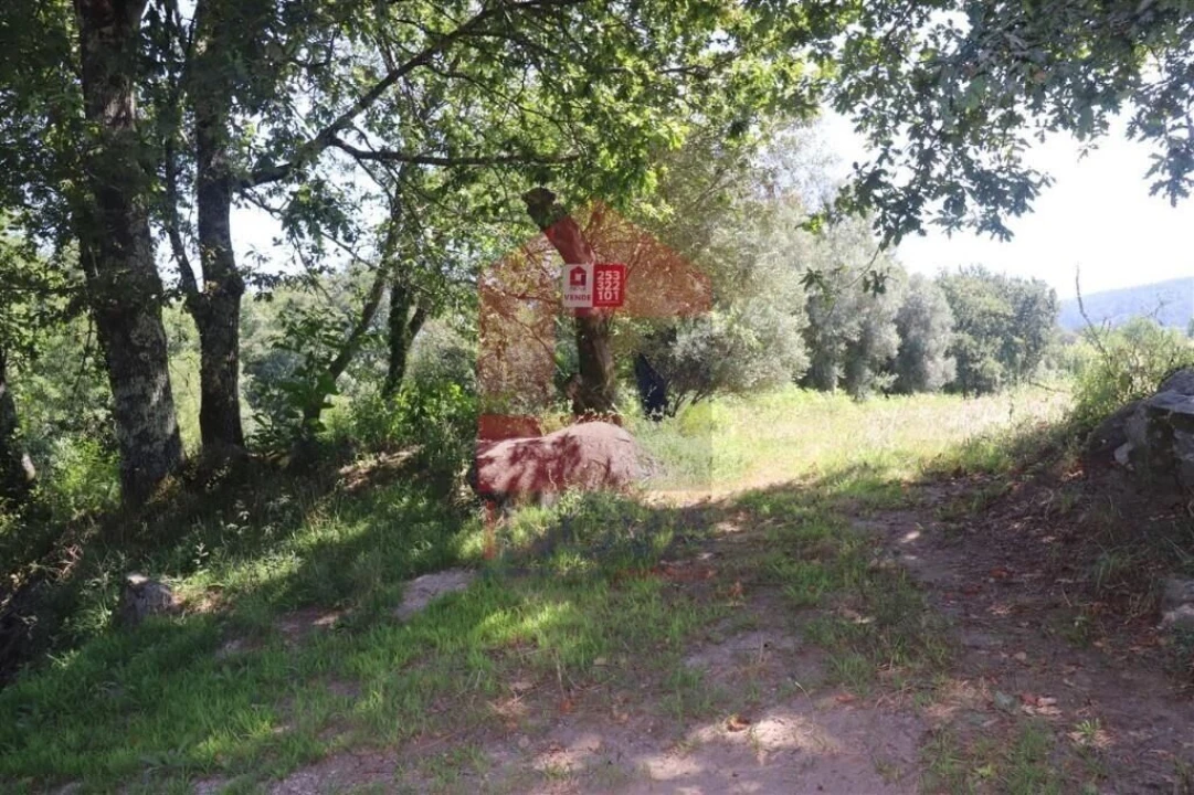 Terreno para Venda em Fiscal Foto 29