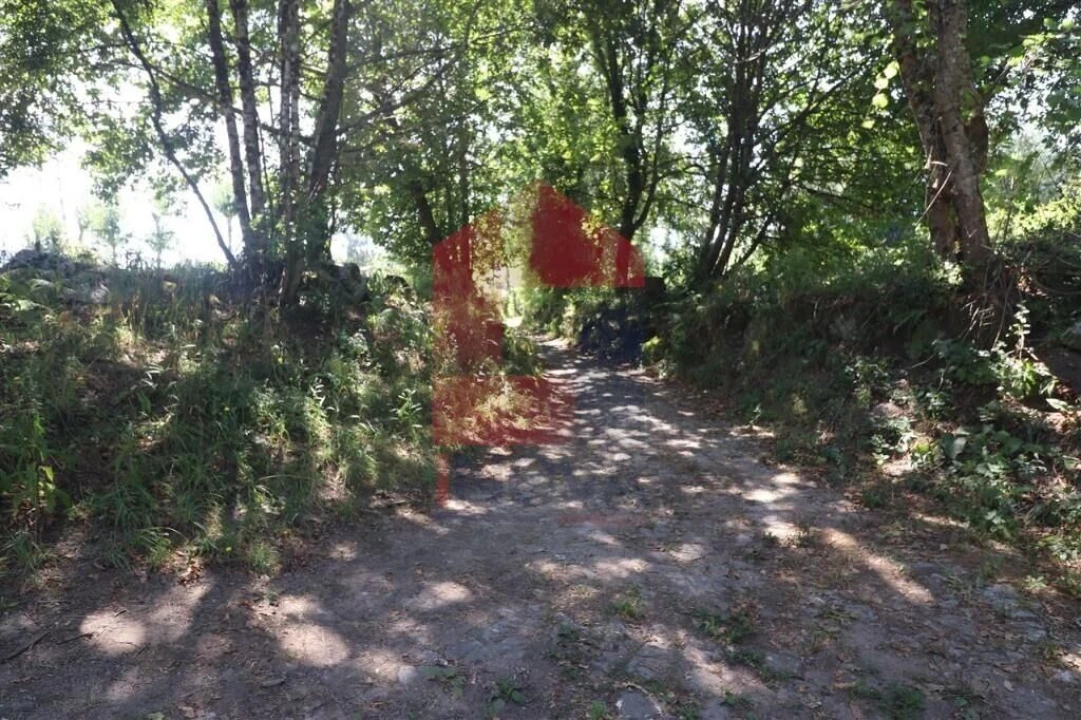 Terreno para Venda em Fiscal Foto 32