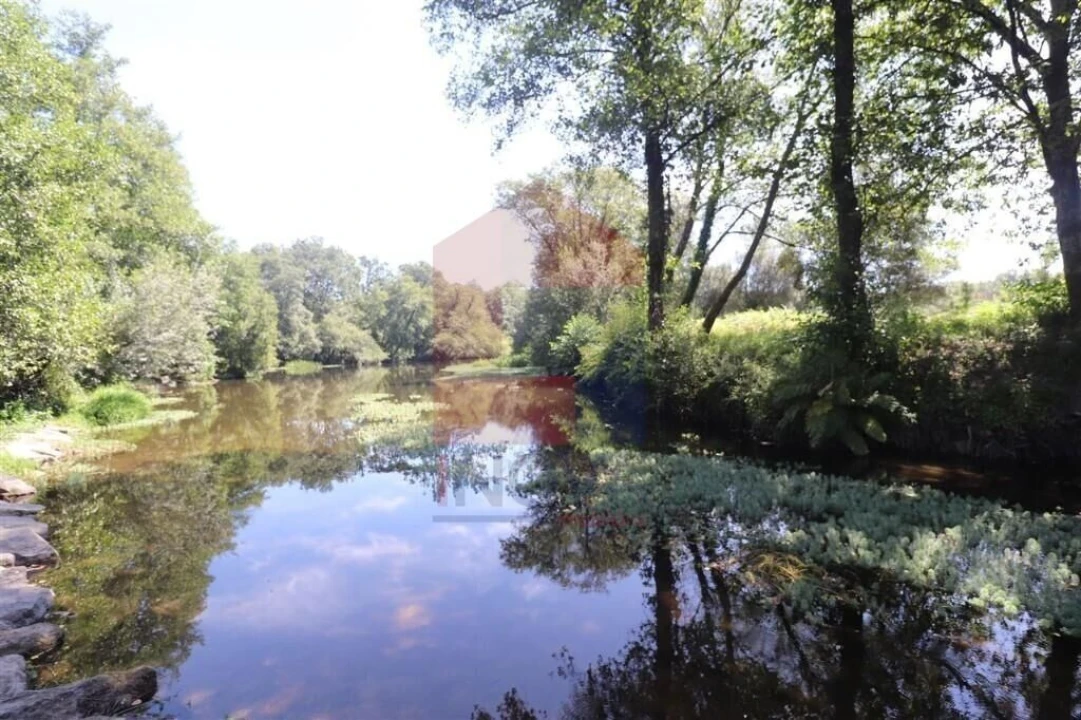 Terreno para Venda em Fiscal Foto 22