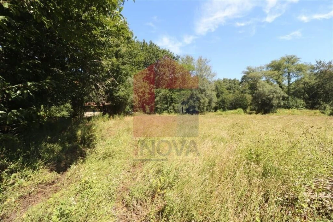 Terreno para Venda em Fiscal Foto 5