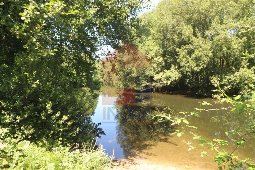 Terreno para Venda em Fiscal Foto 9