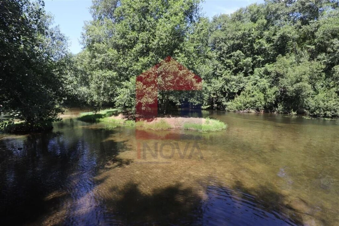 Terreno para Venda em Fiscal Foto 24