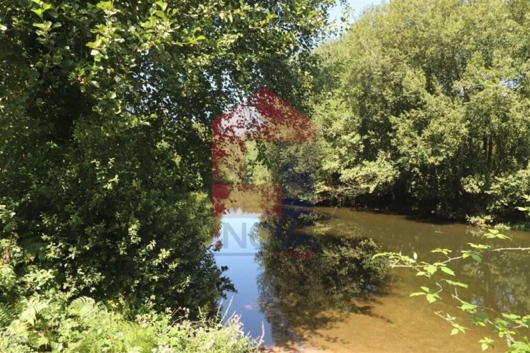 Terreno para Venda em Fiscal Foto 10