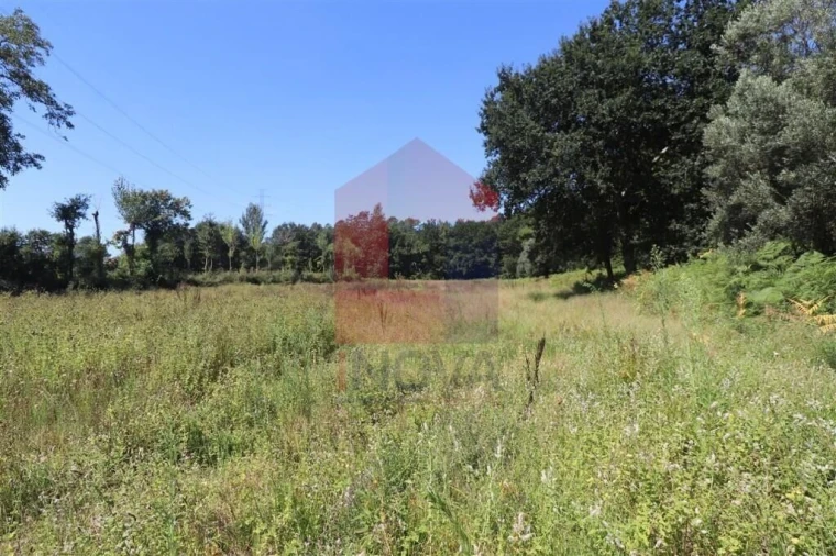 Terreno para Venda em Fiscal Foto 18