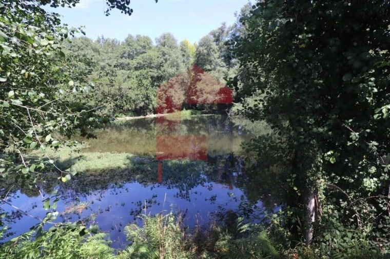 Terreno para Venda em Fiscal Foto 19