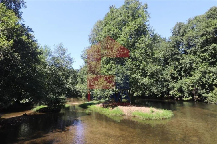 Terreno para Venda em Fiscal Foto 25