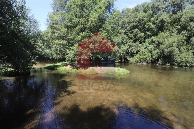 Terreno para Venda em Fiscal Foto 24