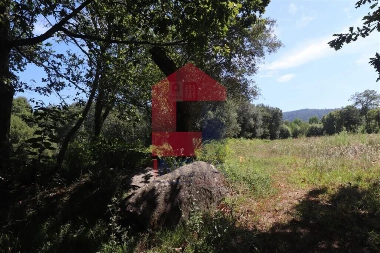 Terreno para Venda em Fiscal Foto 21