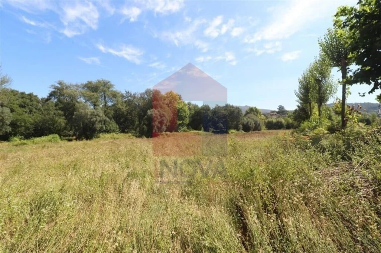 Terreno para Venda em Fiscal Foto 4