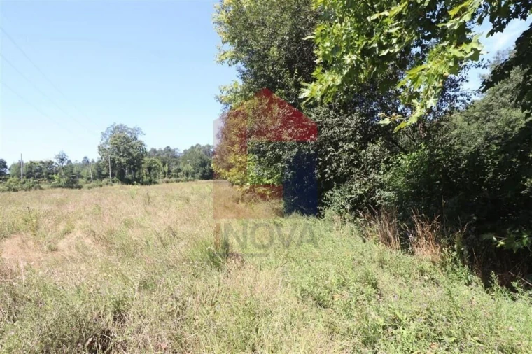 Terreno para Venda em Fiscal Foto 16