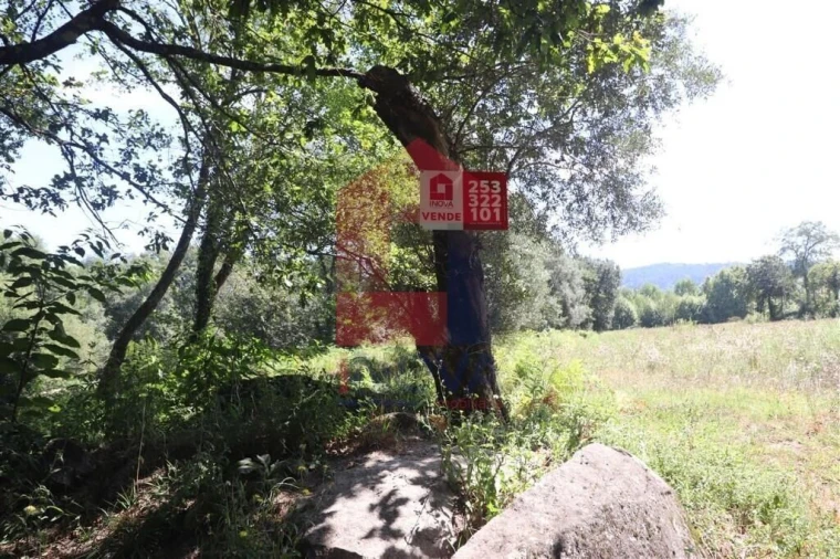 Terreno para Venda em Fiscal Foto 26