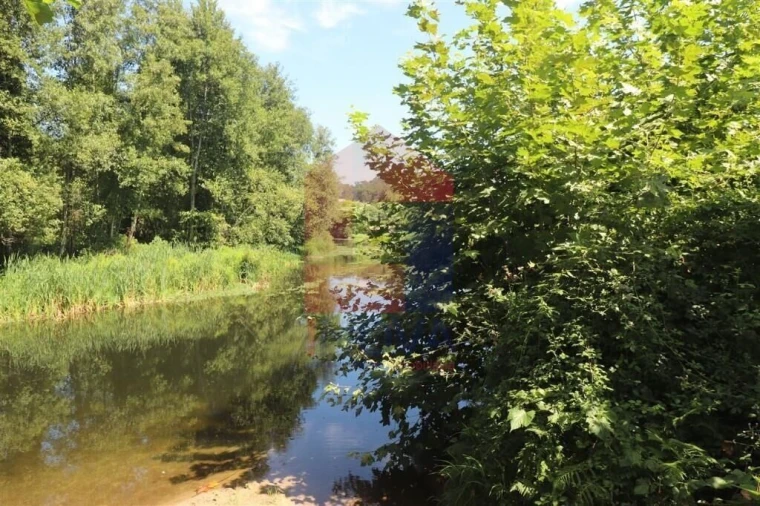 Terreno para Venda em Fiscal Foto 11