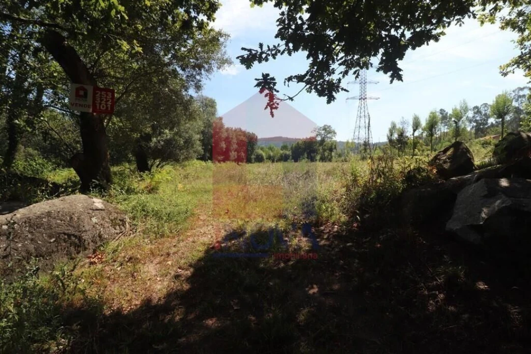 Terreno para Venda em Fiscal Foto 20