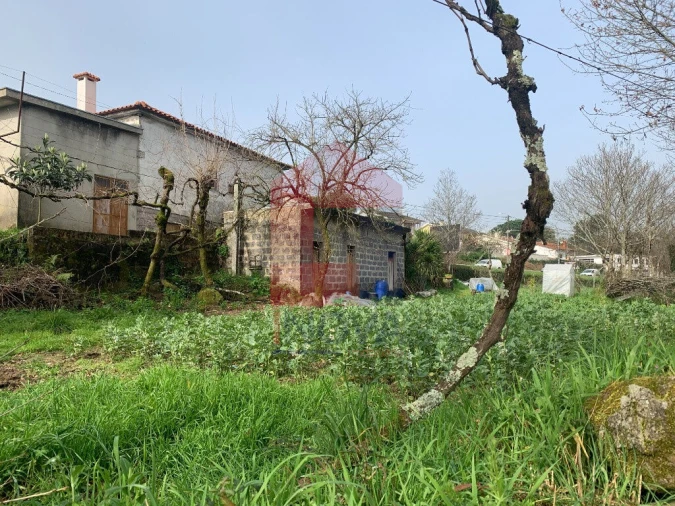 Terreno para Venda em Vila Verde e Barbudo Foto 7