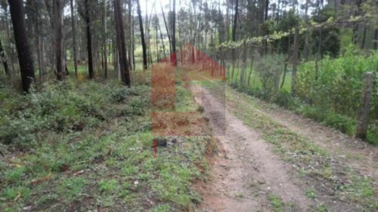 Terreno para Venda em Freiriz Foto 5