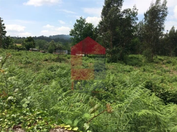 Terreno para Venda em Vila Verde e Barbudo