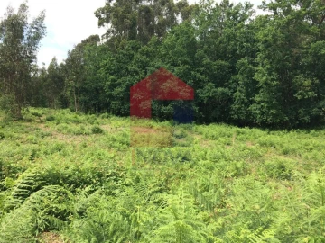 Terreno para Venda em Vila Verde e Barbudo