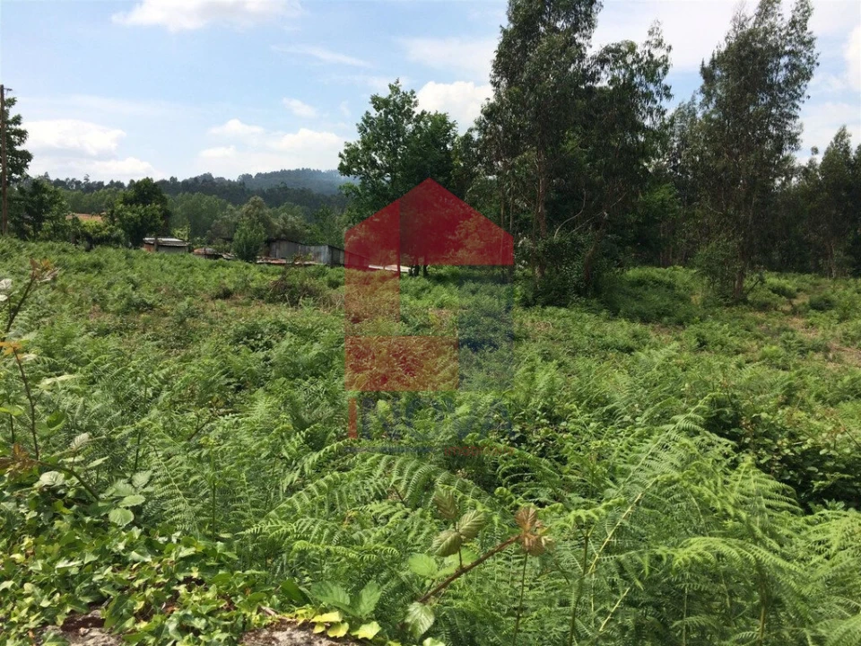 Terreno para Venda em Vila Verde e Barbudo Foto 4