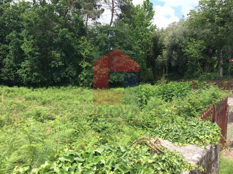 Terreno para Venda em Vila Verde e Barbudo Foto 2