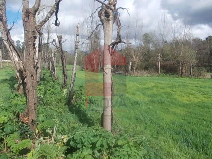 Terreno para Venda em Gême Foto 3