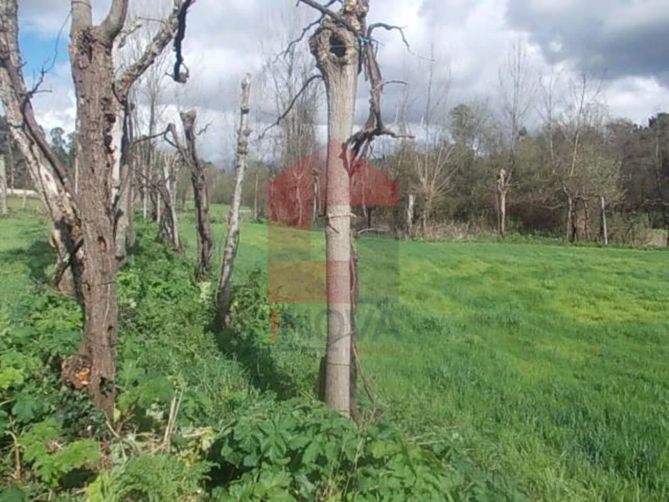 Terreno para Venda em Gême Foto 3