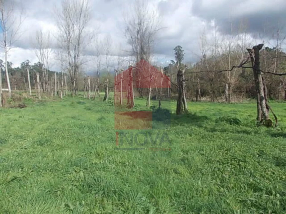 Terreno para Venda em Gême Foto 4