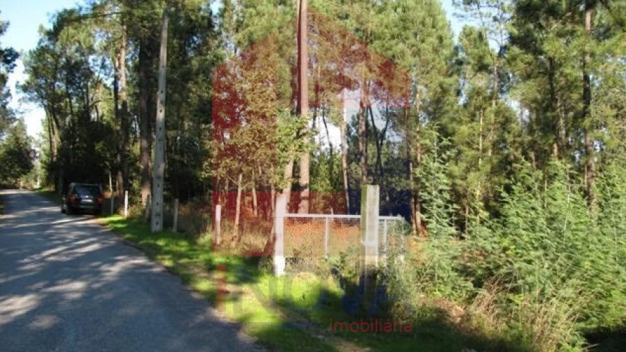 Terreno para Venda em Ponte