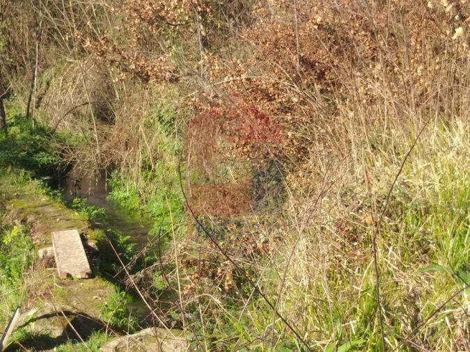 Terreno para Venda em Dossãos Foto 5