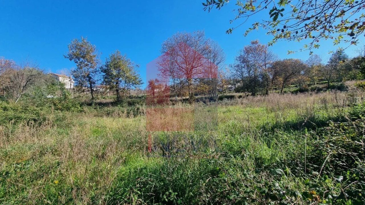 Terreno para Venda em Oliveira Foto 5