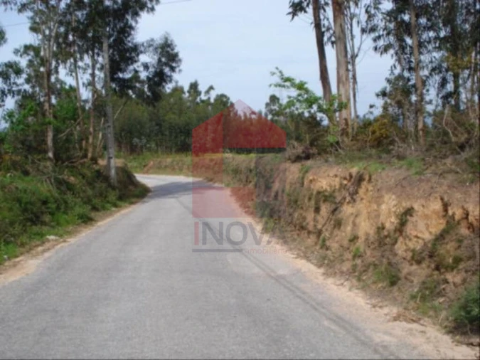 Terreno para Venda em Oleiros Foto 5