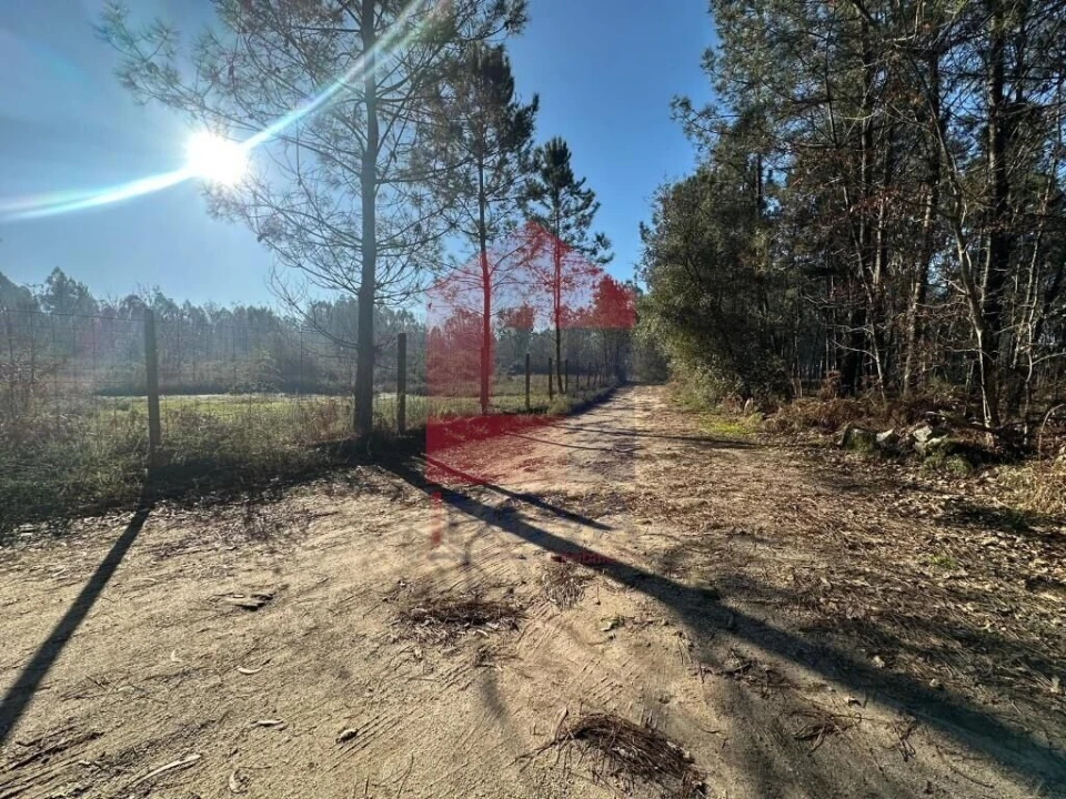 Terreno para Venda em Lago Foto 1