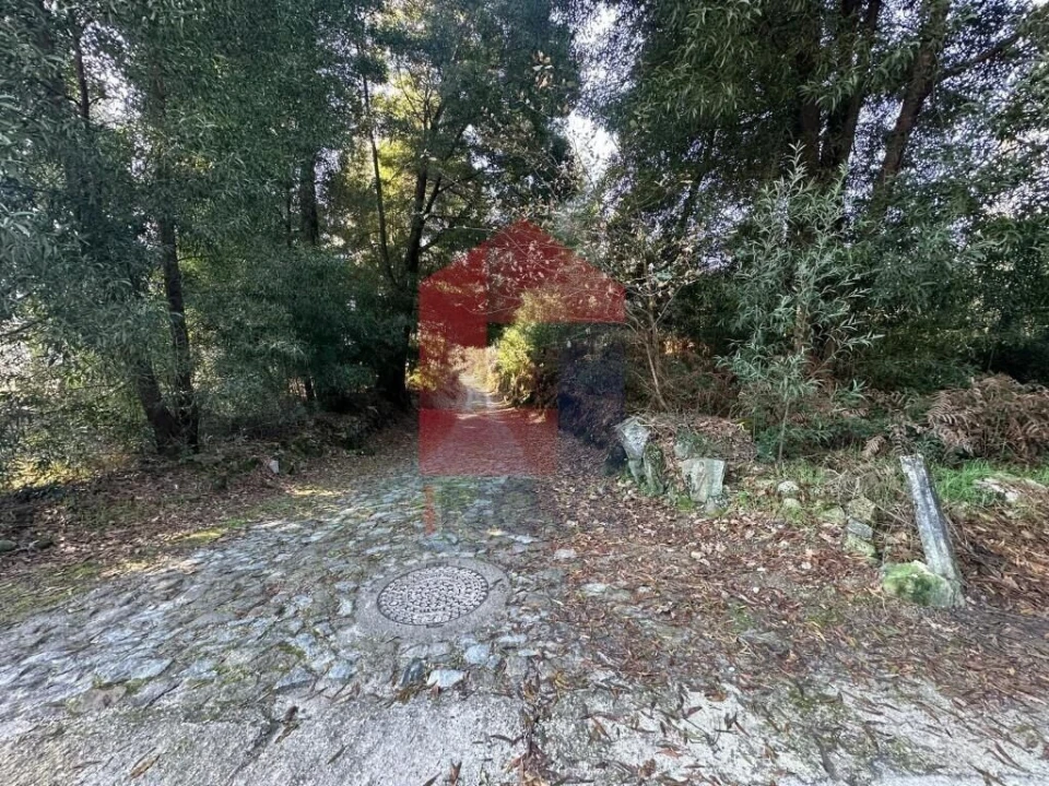 Terreno para Venda em Lago Foto 16