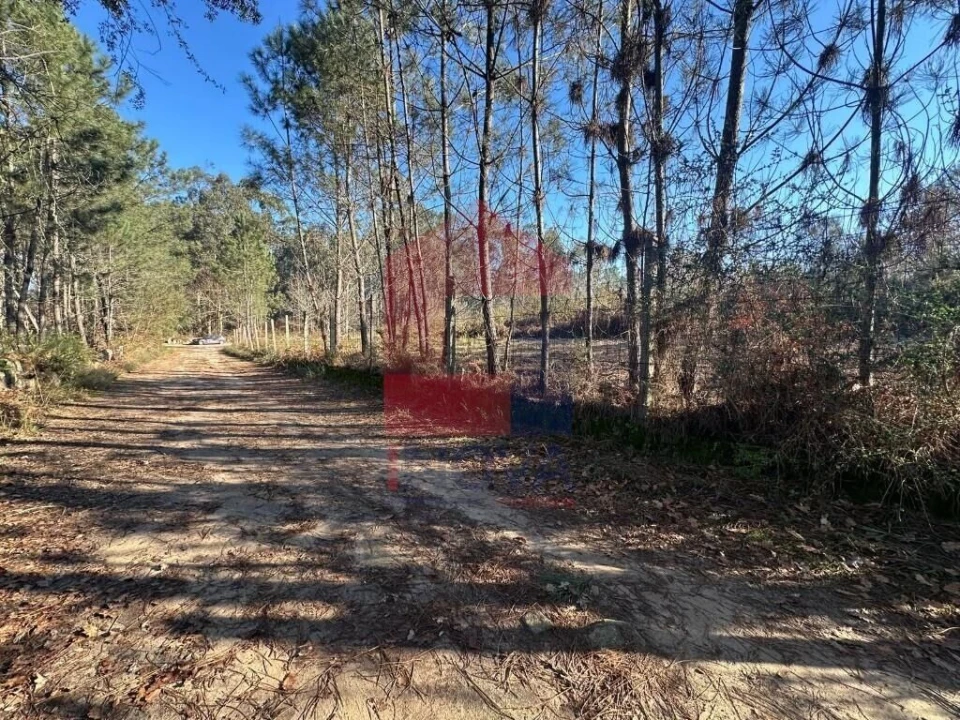 Terreno para Venda em Lago Foto 22