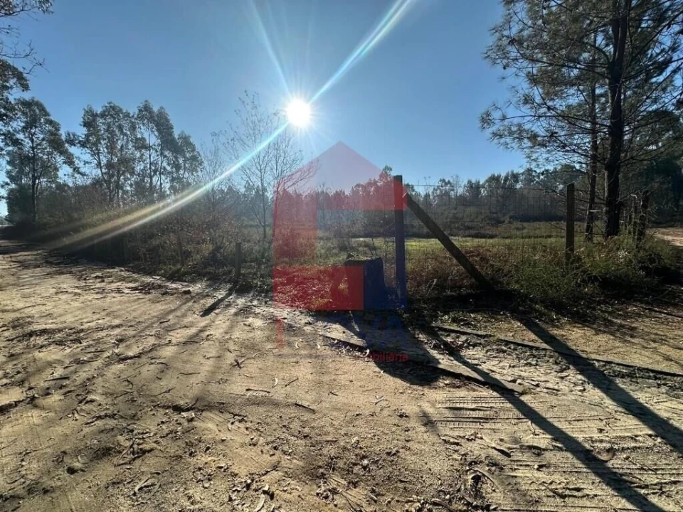 Terreno para Venda em Lago Foto 11
