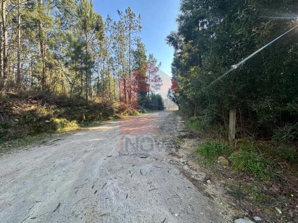 Terreno para Venda em Lago Foto 20