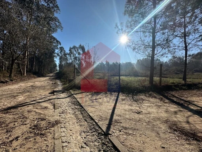 Terreno para Venda em Lago Foto 2