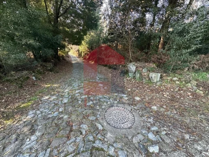 Terreno para Venda em Lago Foto 17