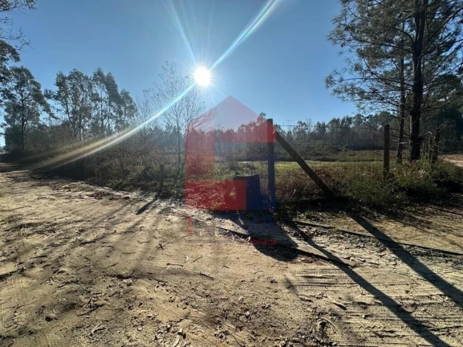 Terreno para Venda em Lago Foto 11